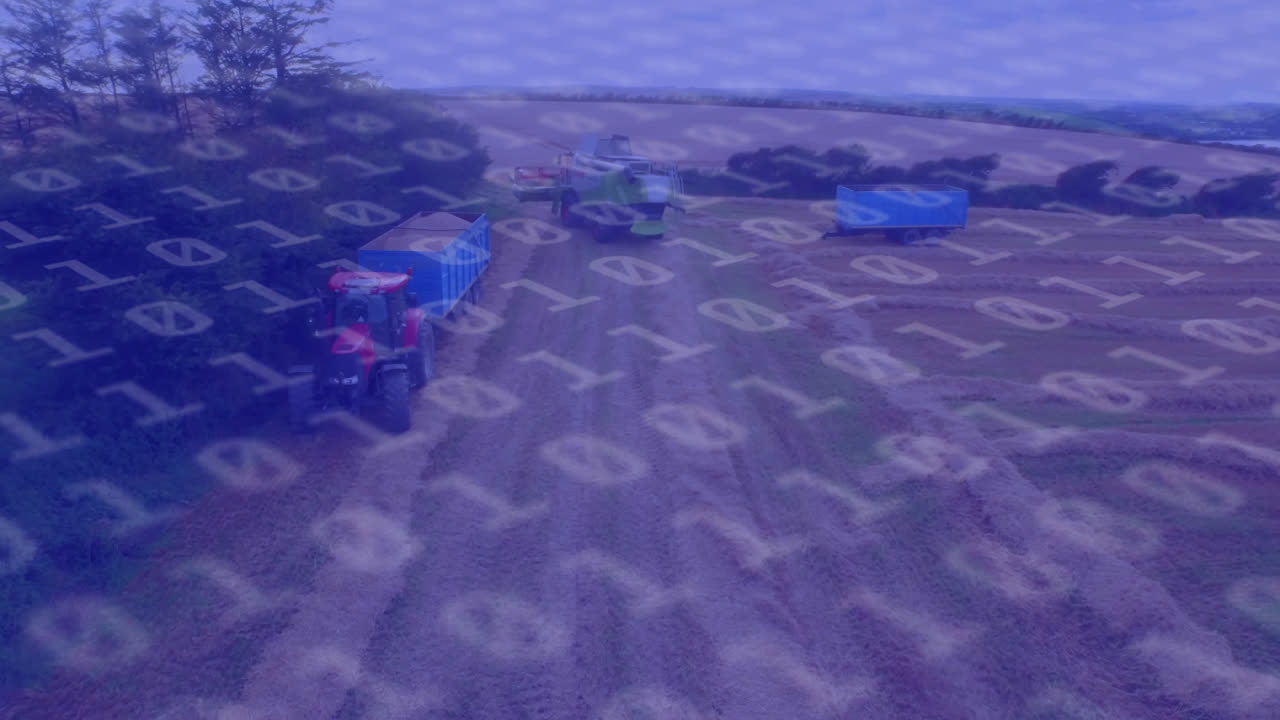 Animation of binary coding over field