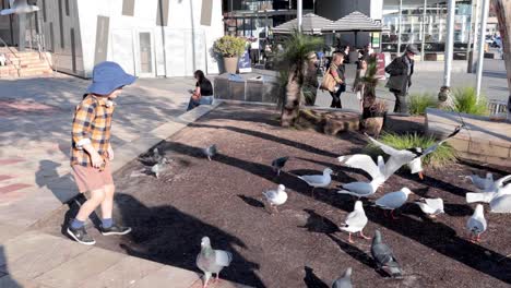 a child joyfully interacts with pigeons and seagulls