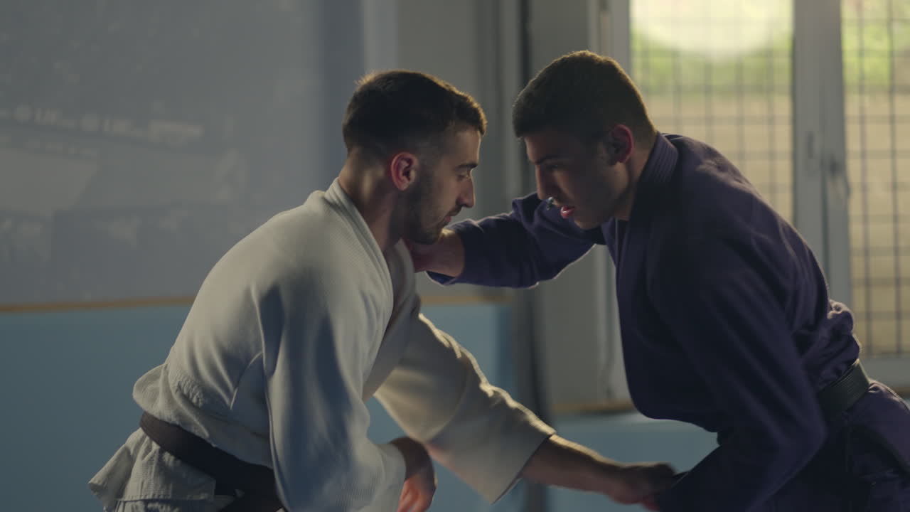 Martial Arts Grappling Sparring