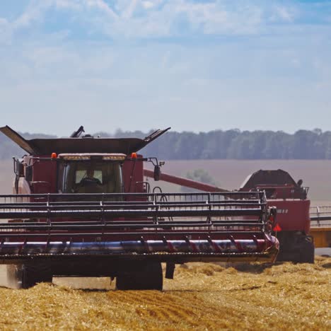 combine harvester on field