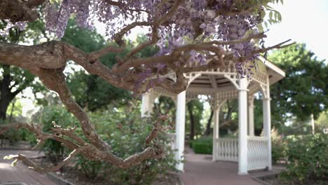 Beautiful-park-and-wooden-gazebo