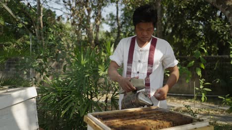 man tending beehives with a smoker in a sunny outdoor setting