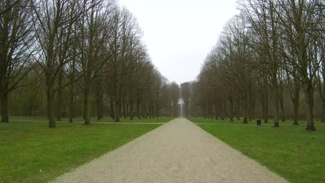 Beautiful-footage-using-a-gimbal-slowly-walking-down-a-pristine-forest-path-with-trees-lining-the-trail-into-perspective