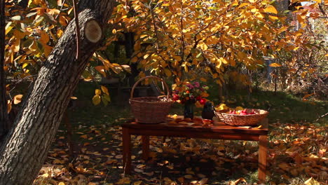 view of garden table with baskets of walnuts and red pomegranates during autumn thanksgiving