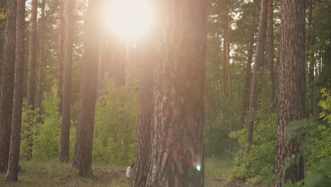 woman running through a forest