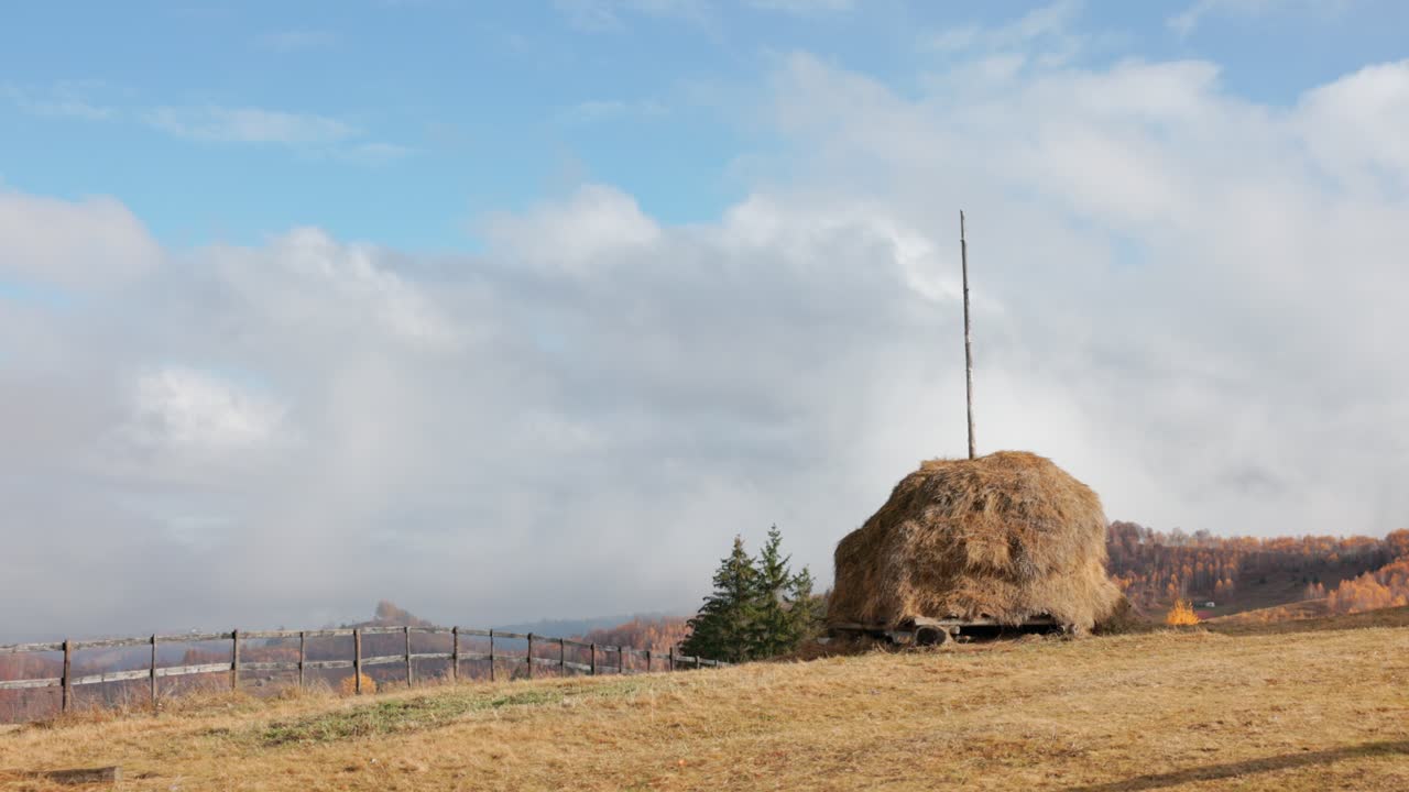 Covone di fieno tradizionale con palo centrale per il bestiame in una zona rurale. - campo largo