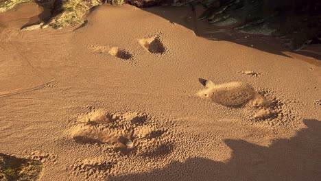 Wassertropfen-Fallen-Auf-Den-Sandboden-Und-Erzeugen-Kleine-Vertiefungen,-Die-Im-Abendsonnenlicht-In-Einem-Niedrigen-Winkel-In-Der-Nähe-Des-Küstenstrandbereichs-Eingefangen-Werden