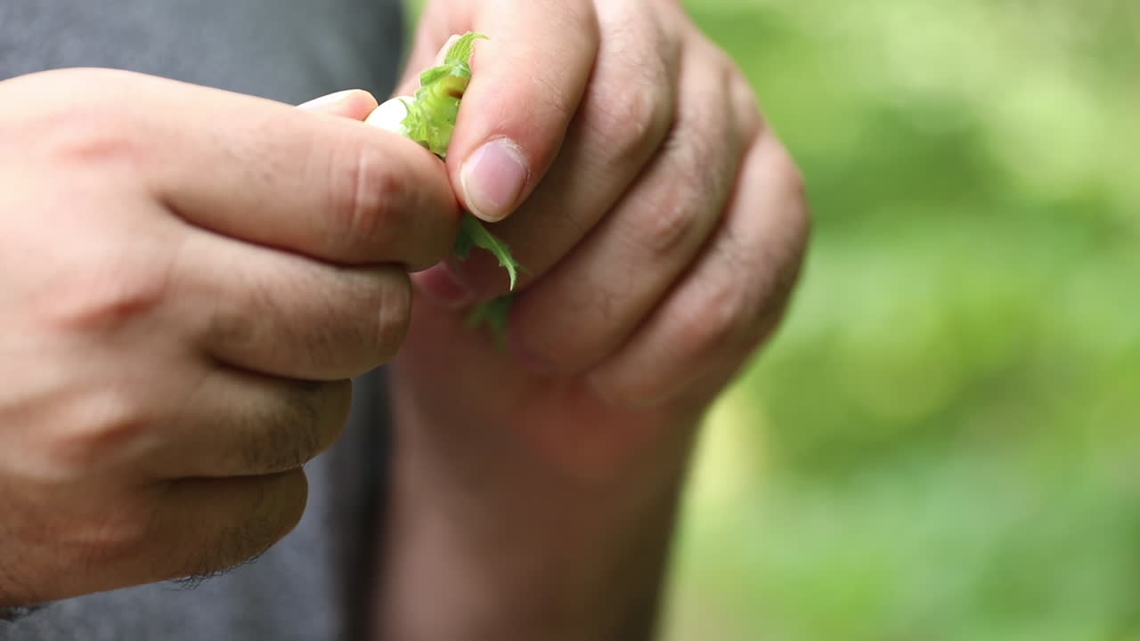 손에 들고 있는 헤이즐 ⁇
