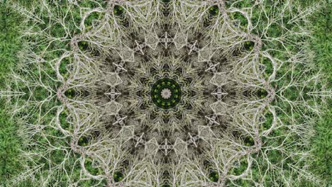 Unique-and-beautiful-abstract-kaleidoscope-texture-design