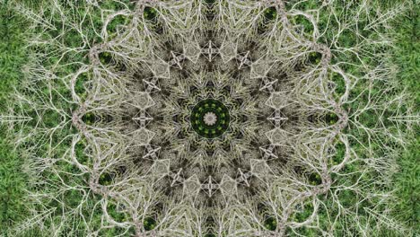 único y hermoso diseño de textura de caleidoscopio abstracto