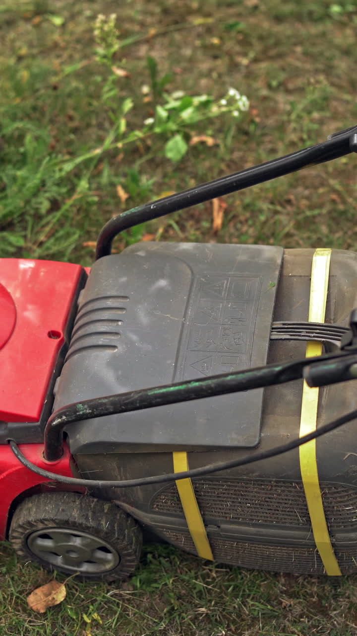 Woman is cutting lawn with grass mower. Gardener with electric lawn mower trimming grass in the yard in summer. Vertical video