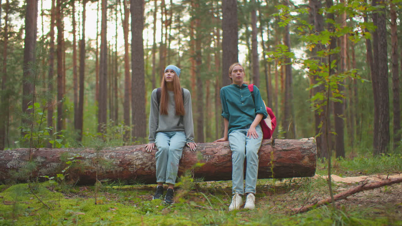 zwei wanderer in jeans und turnschuhe nähern sich einem großen gefallenen baum in einem üppig grünen wald, sitzen zusammen mit einem entspannten ausdruck, das sonnenlicht filtert durch hohe kiefern und wirft ein warmes leuchten auf das lebendige grün