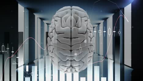 Menschliches-Gehirn-Und-Technologie-4k