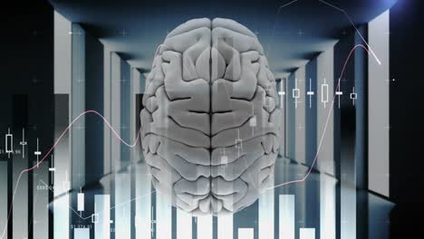 human brain and technology 4k