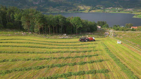 Cut-grass-being-collected-with-tractor-and-baler-to-make-plastic-wrapped-bales,-aerial