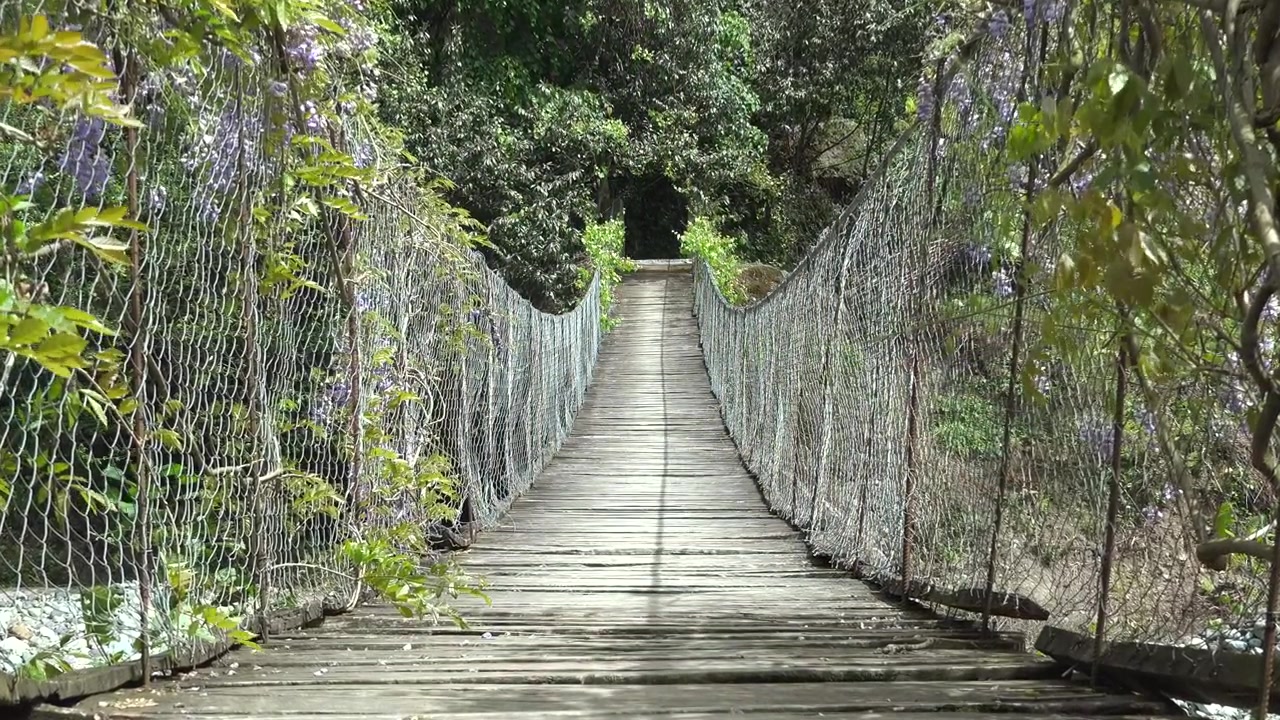 Wooden Suspension Bridge Surrounded by Lush Greenery