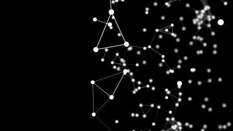 animación de red abstracta. líneas blancas conectadas en fondo negro. bucle sin costuras de 4k