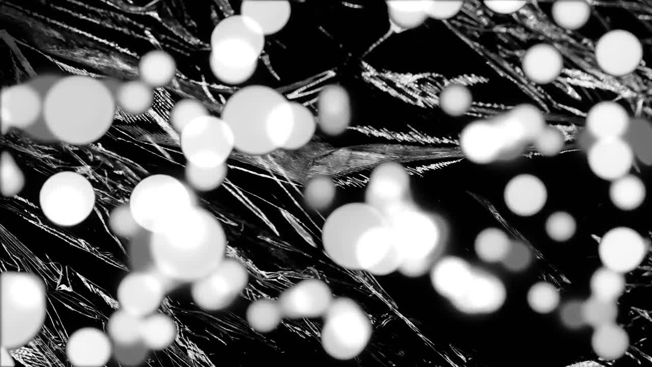 움직이는 반이는 검은 플라스틱에 빛 위에 빛의 회색과 색 반점의 애니메이션