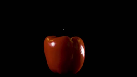 un gran pimiento rojo aislado girando contra un fondo negro