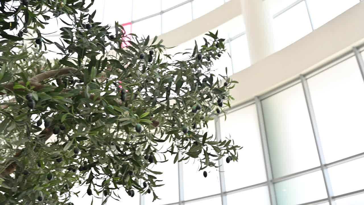 Artificial Realistic Olive Tree, plant with olives on it