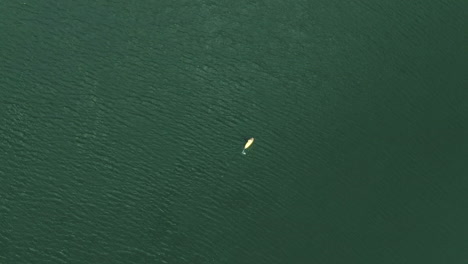 Person-paddling-yellow-board-in-vast-lake-water,-aerial-ascending-top-down-view