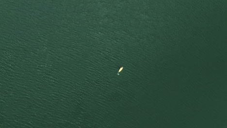 Persona-Remando-En-Una-Tabla-Amarilla-En-El-Vasto-Agua-Del-Lago,-Vista-Aérea-Ascendente-De-Arriba-Hacia-Abajo