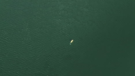 persona remando en una tabla amarilla en el vasto agua del lago, vista aérea ascendente de arriba hacia abajo