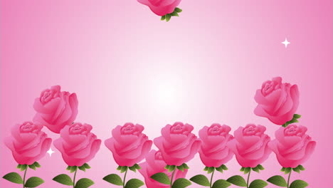 hermosas rosas rosas flores animación de jardín