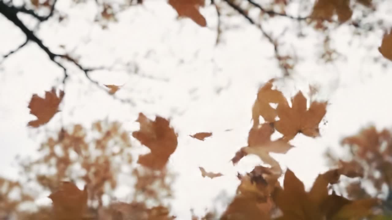 Leaves in shades of orange and brown drift gracefully from branches, creating a peaceful atmosphere in a tranquil forest during the autumn season.