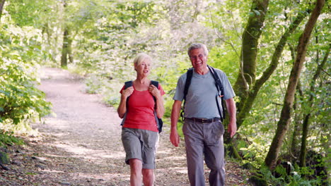 slow motion shot of senior couple hiking along woodland path in lake district uk together