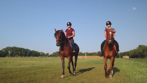 women riding horses in a field