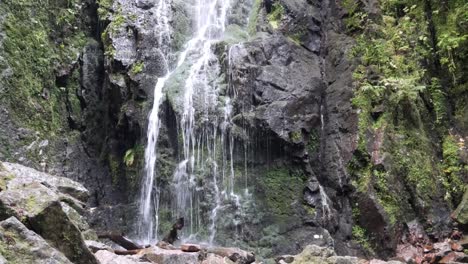 la idílica burgbachwasserfall en la selva negra, alemania