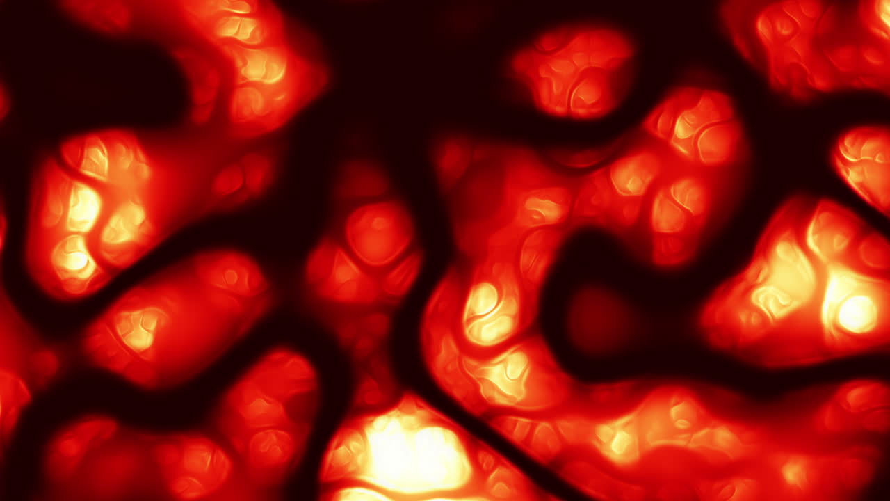 Vivid red, orange, and yellow circular pattern on a black backdrop creates a striking, symmetrical visual in this close-up image, showcasing bold colors and intricate design