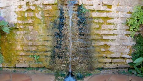 la fuente de agua está cercada con una pared de ladrillos y cubierta de vegetación