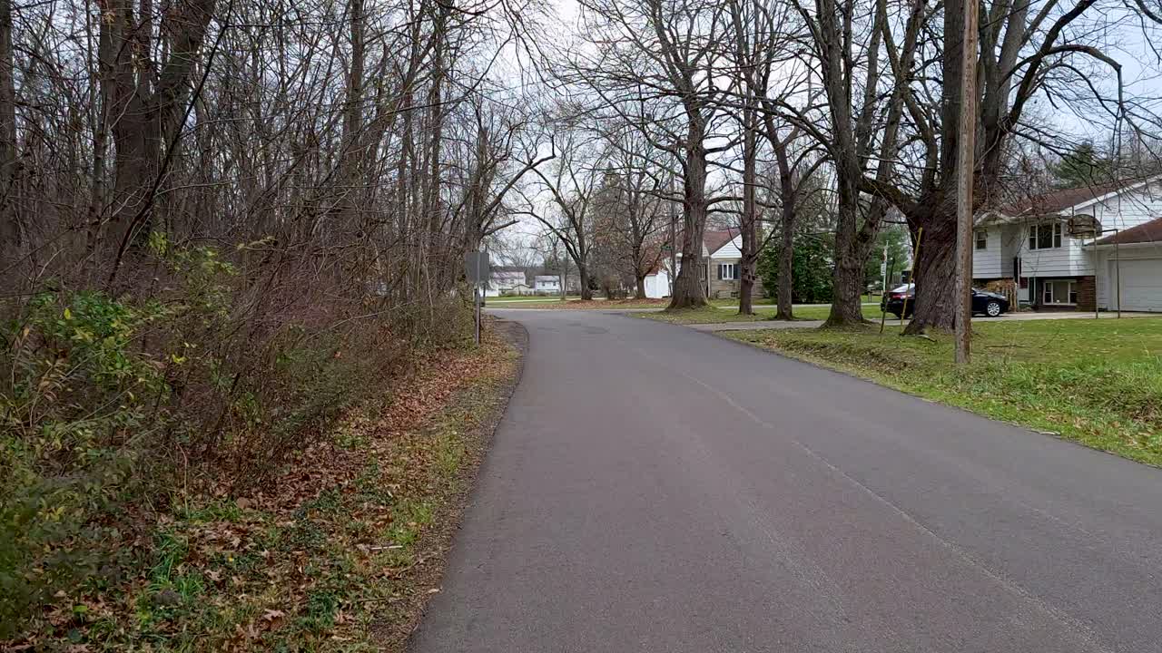 추운 겨울날 마른 나무로 둘러싸인 거리를 걸어가는 동안 pov 샷