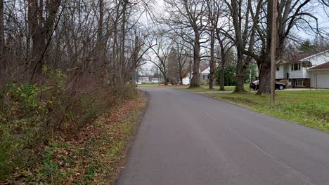 POV-shot-while-walking-down-street-surrounded-by-dried-trees-on-a-cold-winter-day