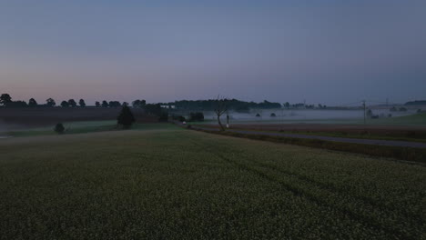 un paisaje rural brumoso al amanecer, con árboles y campos apenas visibles a través de la niebla
