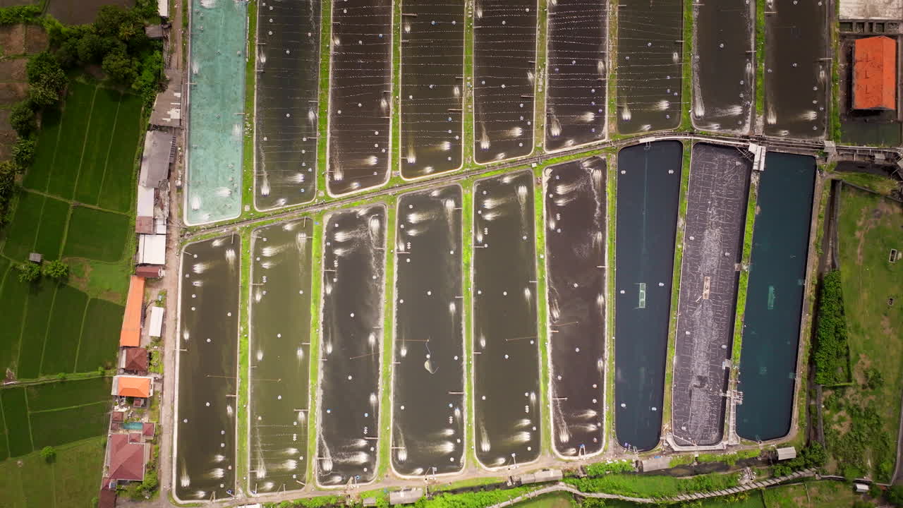 인도네시아의 새우 양식, 전통적, 현대적인 어업 방법, 공중