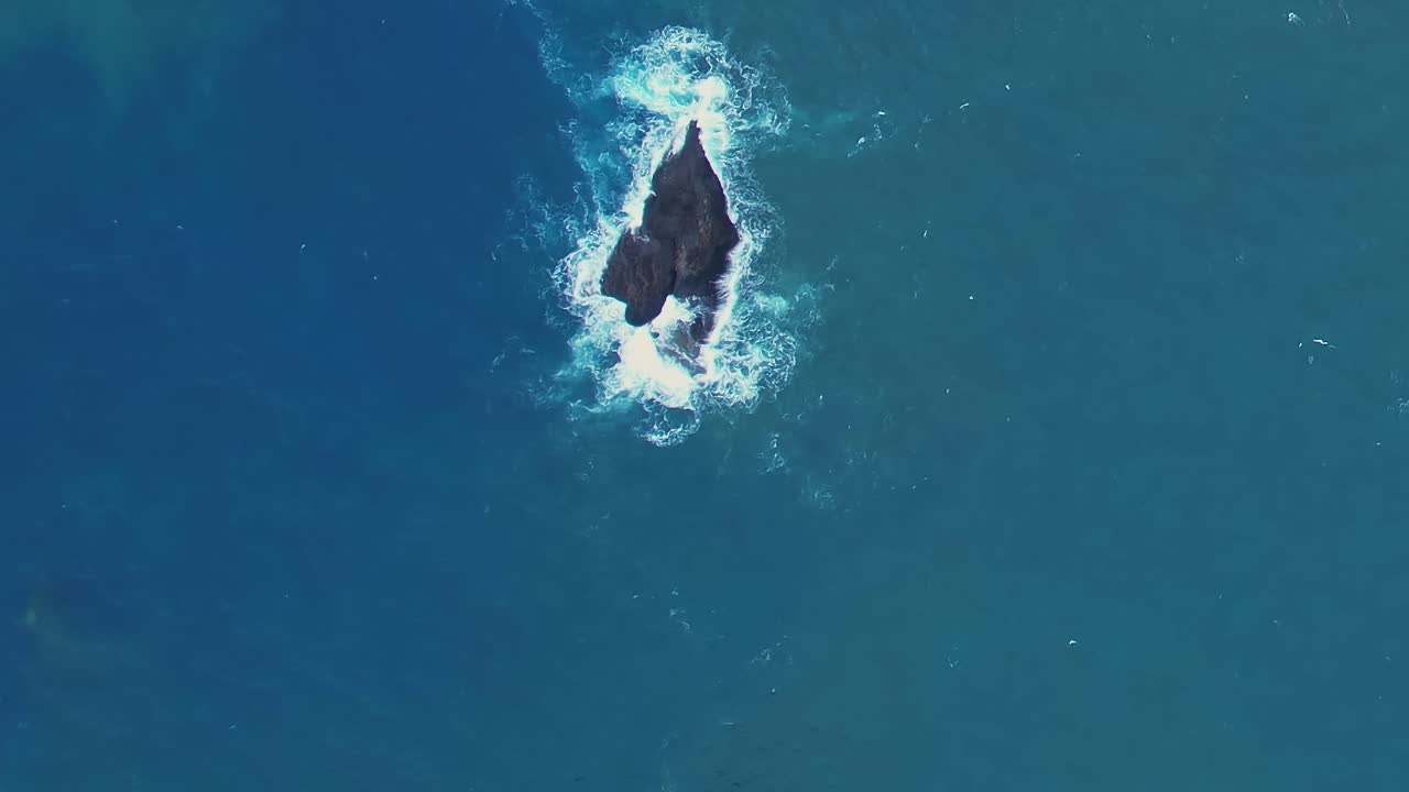 Explore Madeira's stunning coastline from a drone's perspective