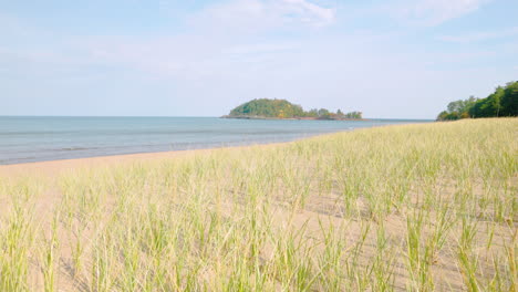 dune grass blowing in a soft breeze on a sandy beach of lake superior. shot in 4k