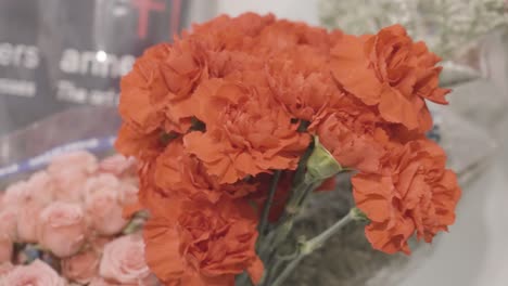 claveles rojos en una pequeña colección