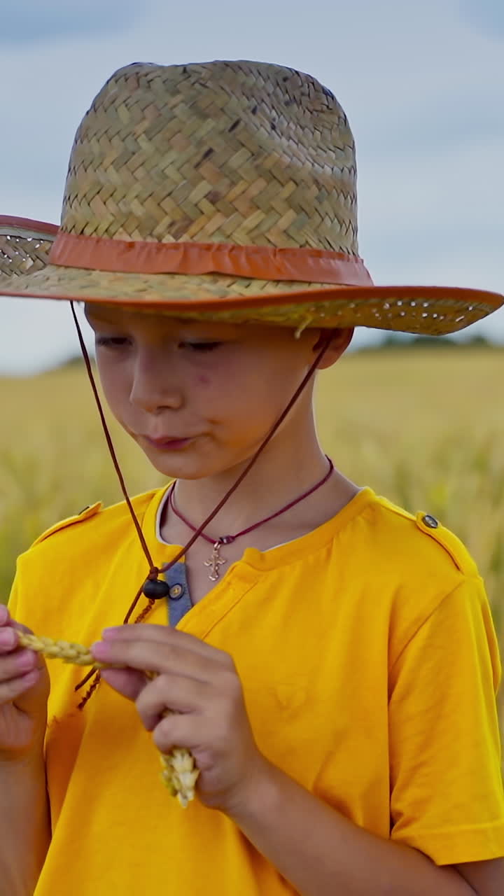Little boy holding wheat ears in hands in a field. Kid with rye in hands. Straw hat on head. Video from a side. Vertical video