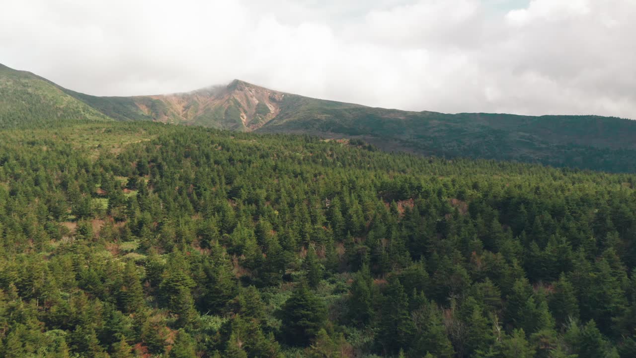 toma aérea de bosques verdes y montañas en yamagata, japón