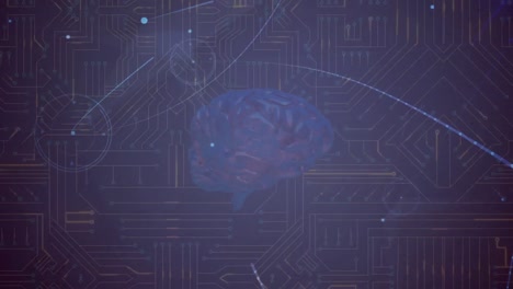 animation of network of connections with digital brain over computer circuit board