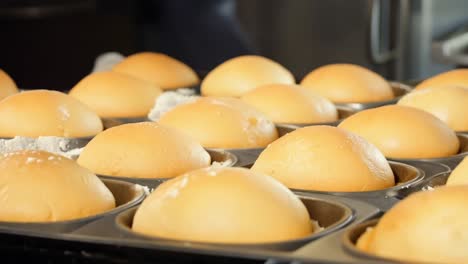 freshly baked buns