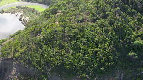 Excursionistas-En-La-Vía-Del-Tranvía-Por-Encima-De-Great-Ocean-Road-En-St-George-River