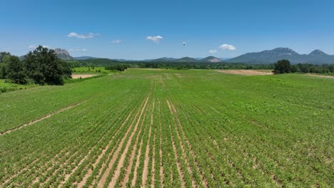 drone flying over a farmland in croatia.