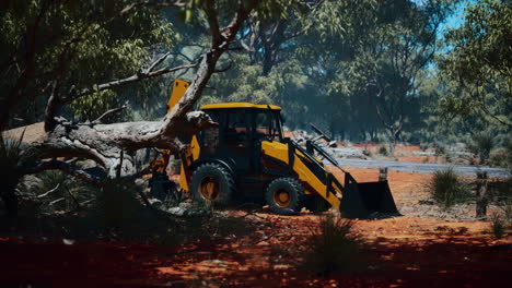 excavator tractor in bush forest