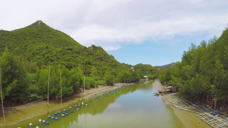 landscape mangrove canal at khao sam roi yot national park , thailand