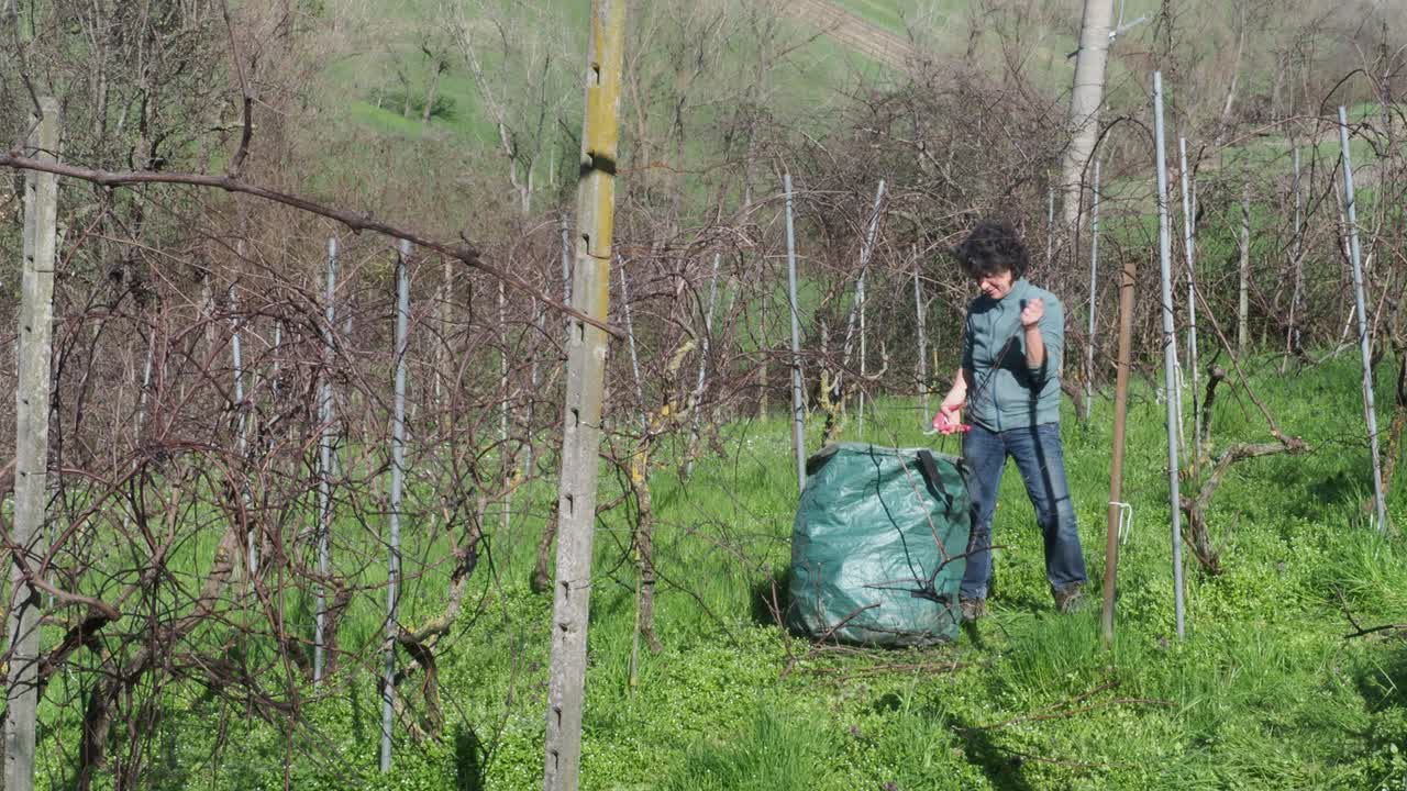 Strong independent caucasian Italian farmer prunes vines during late winter dormancy among bare rows in Martani hills, preserving tradition and quality grape production under soft seasonal light